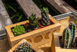 Cedar Wood Succulent Planter