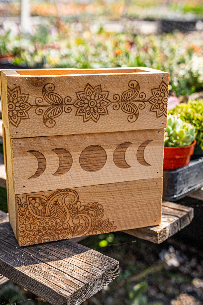 Cedar Wood Succulent Planter