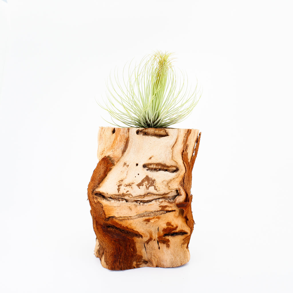 Grape Wood